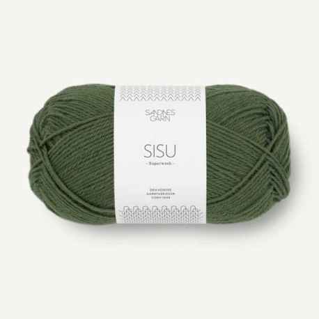 Sandnes Sisu Mosegronn 9573