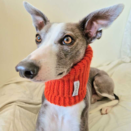 Otto & Odie Göte Snood für Hunde Strickset