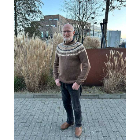 Petite Knit Celeste Sweater Man Wollpaket